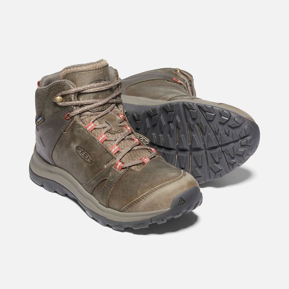 Bottes de Randonnée Keen Femme Marron | Terradora Ii Cuir Waterproof | JBOAE-2807